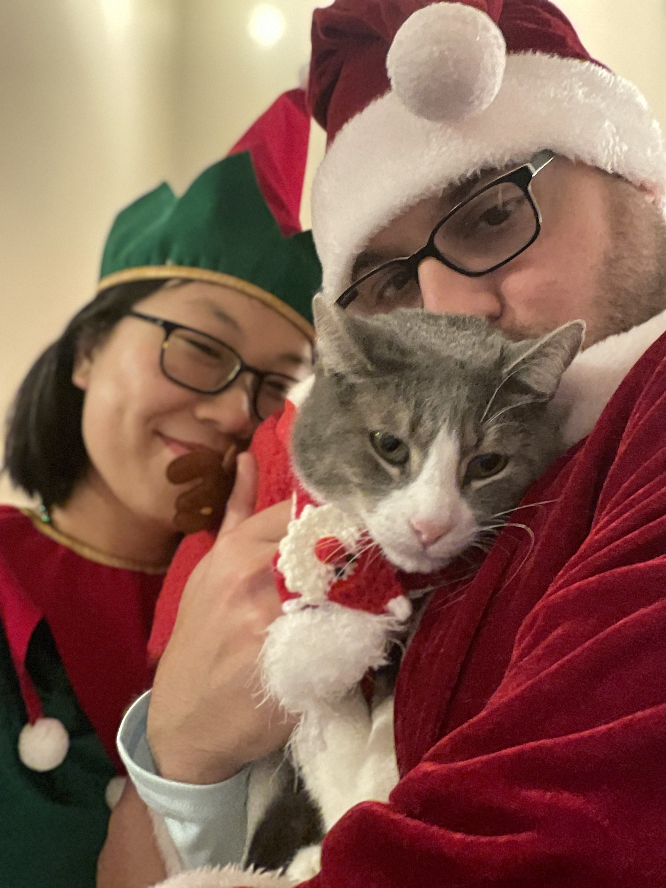Christmas with the cat